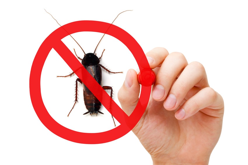 use technology to get rid of cockroaches